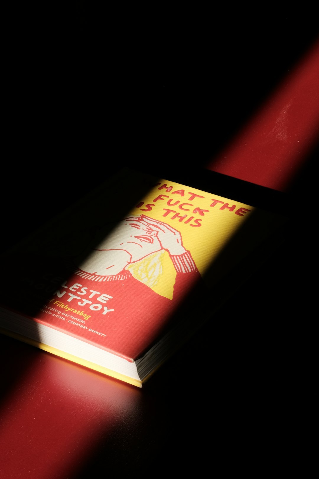 dystopian book cover