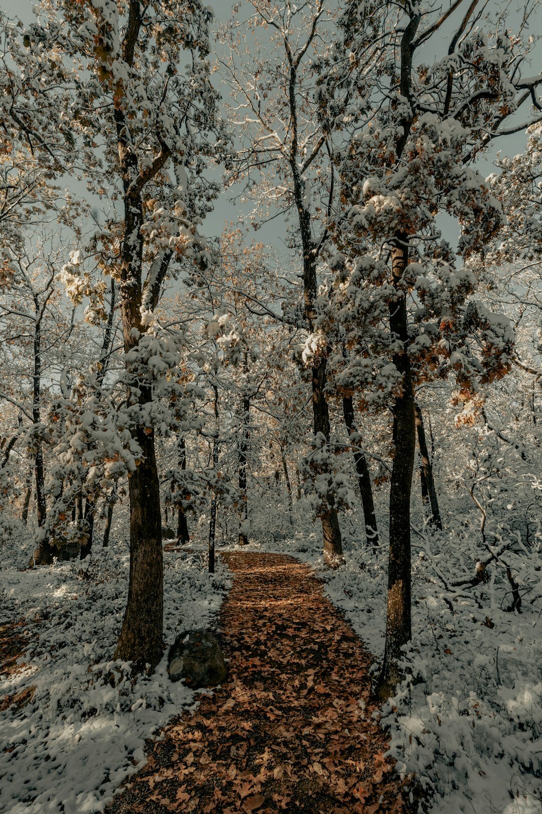 dyatlov pass hikers